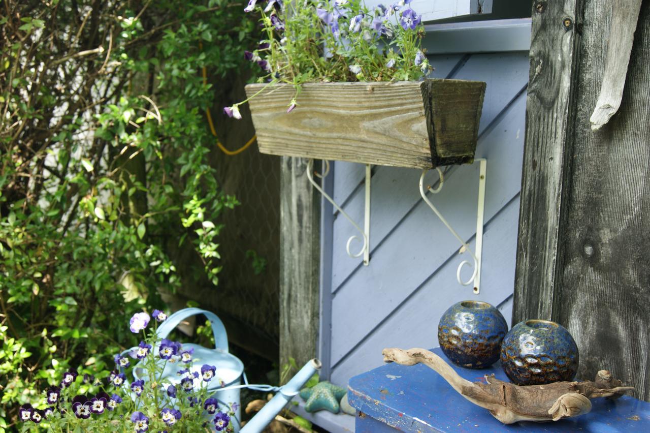 Waitapu Springs B&B Takaka Dış mekan fotoğraf