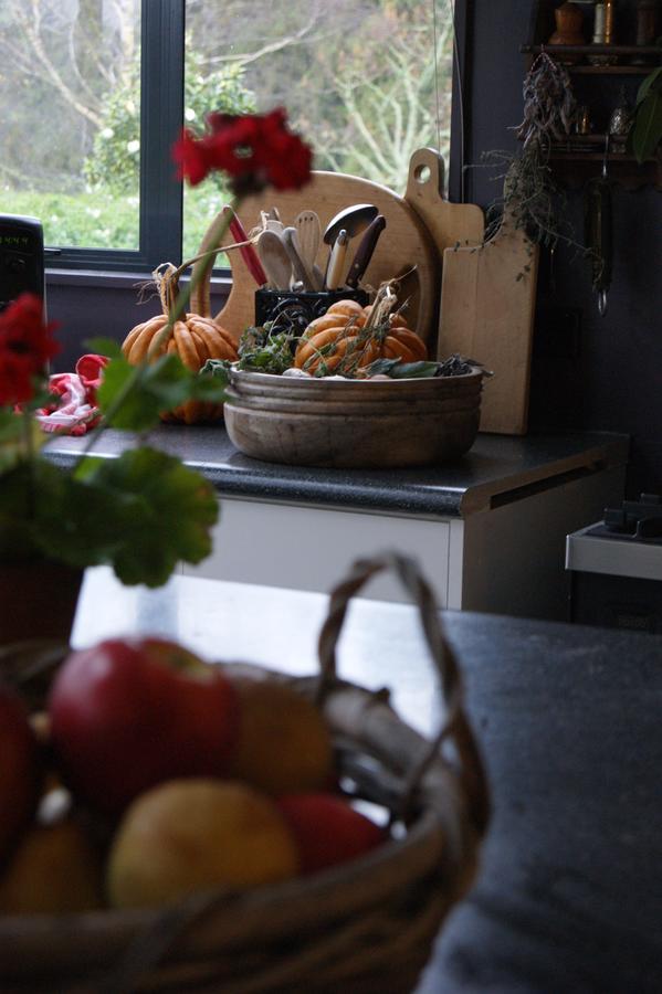 Waitapu Springs B&B Takaka Dış mekan fotoğraf